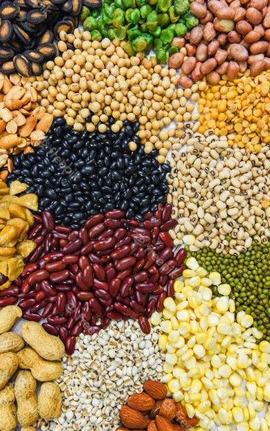 Pulses
